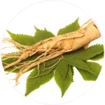 Lulutox Detox Tea Ginseng